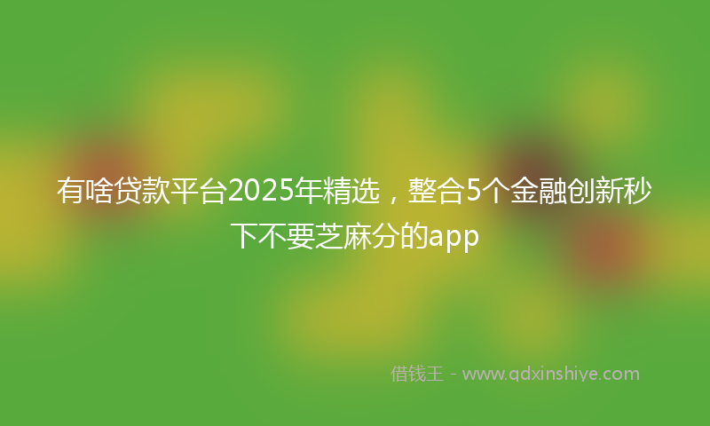 有啥贷款平台2025年精选，整合5个金融创新秒下不要芝麻分的app