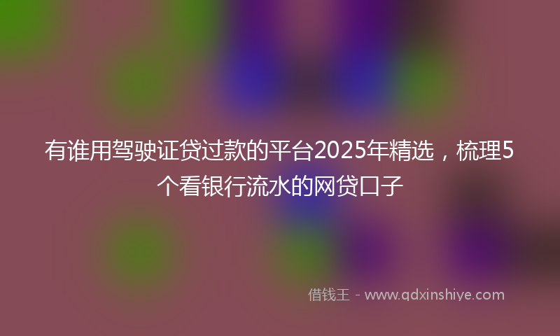有谁用驾驶证贷过款的平台2025年精选，梳理5个看银行流水的网贷口子