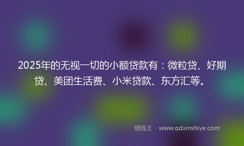 2025年的无视一切的小额贷款有：微粒贷、好期贷、美团生活费、小米贷款、东方汇等。
