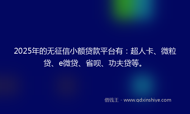 2025年的无征信小额贷款平台有：超人卡、微粒贷、e微贷、省呗、功夫贷等。