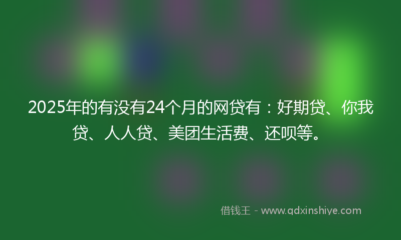 2025年的有没有24个月的网贷有：好期贷、你我贷、人人贷、美团生活费、还呗等。