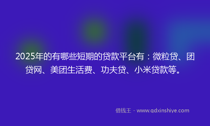 2025年的有哪些短期的贷款平台有：微粒贷、团贷网、美团生活费、功夫贷、小米贷款等。