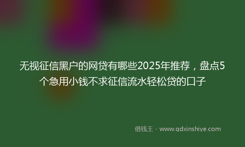无视征信黑户的网贷有哪些2025年推荐，盘点5个急用小钱不求征信流水轻松贷的口子