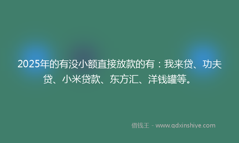 2025年的有没小额直接放款的有：我来贷、功夫贷、小米贷款、东方汇、洋钱罐等。