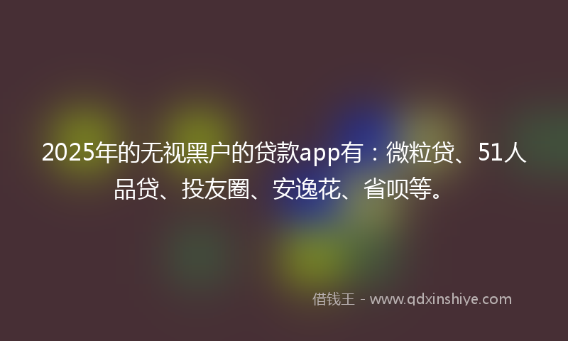 2025年的无视黑户的贷款app有：微粒贷、51人品贷、投友圈、安逸花、省呗等。