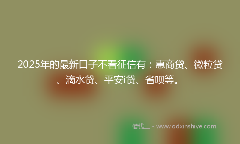 2025年的最新口子不看征信有：惠商贷、微粒贷、滴水贷、平安i贷、省呗等。