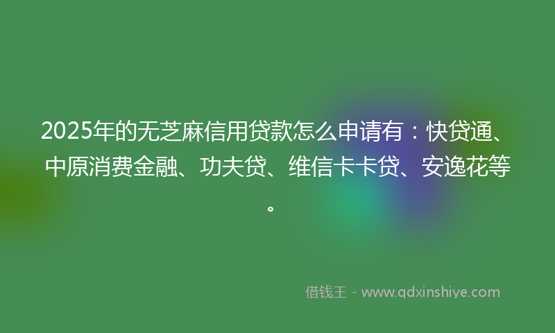 2025年的无芝麻信用贷款怎么申请有：快贷通、中原消费金融、功夫贷、维信卡卡贷、安逸花等。