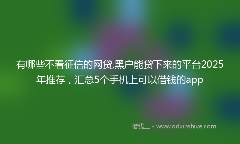 有哪些不看征信的网贷,黑户能贷下来的平台2025年推荐，汇总5个手机上可以借钱的app