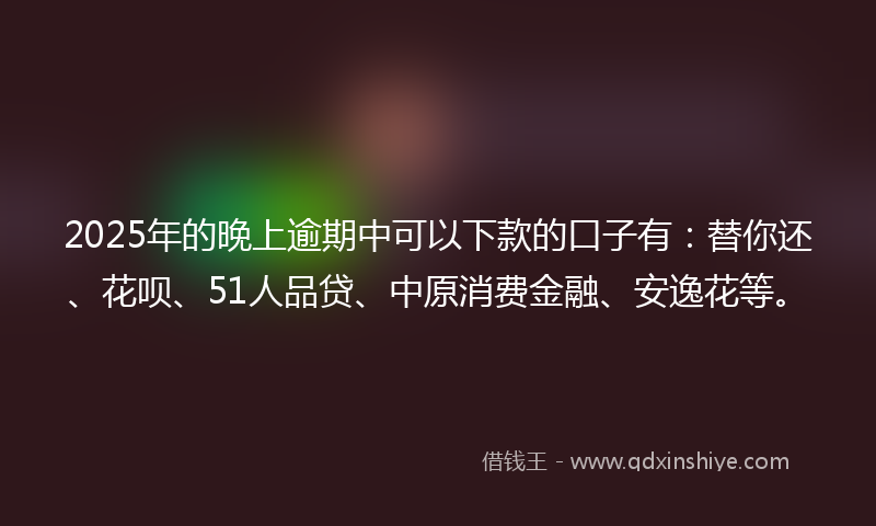 2025年的晚上逾期中可以下款的口子有：替你还、花呗、51人品贷、中原消费金融、安逸花等。