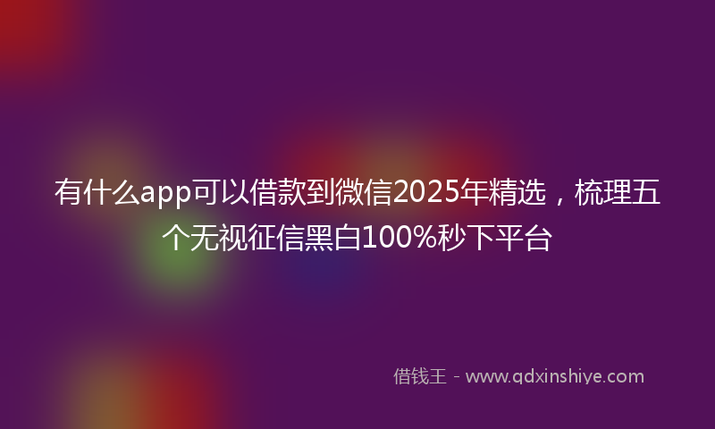 有什么app可以借款到微信2025年精选，梳理五个无视征信黑白100%秒下平台