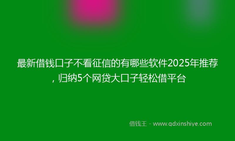 最新借钱口子不看征信的有哪些软件2025年推荐，归纳5个网贷大口子轻松借平台