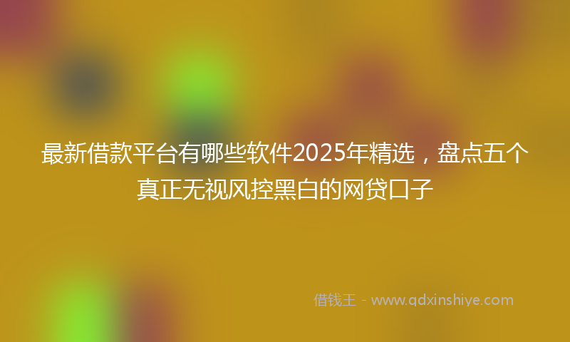 最新借款平台有哪些软件2025年精选，盘点五个真正无视风控黑白的网贷口子