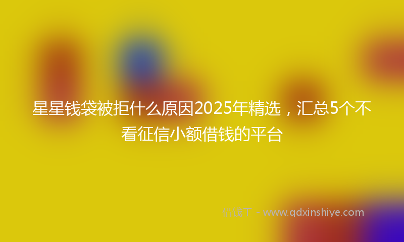 星星钱袋被拒什么原因2025年精选，汇总5个不看征信小额借钱的平台