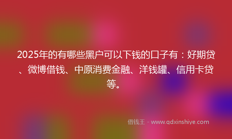 2025年的有哪些黑户可以下钱的口子有：好期贷、微博借钱、中原消费金融、洋钱罐、信用卡贷等。