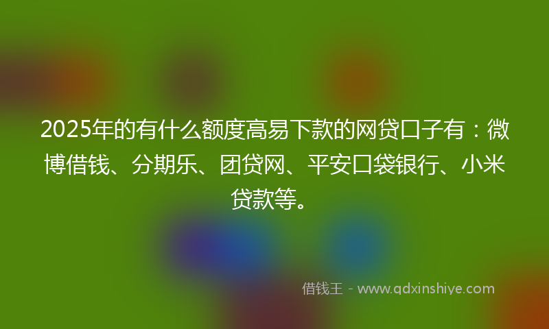 2025年的有什么额度高易下款的网贷口子有：微博借钱、分期乐、团贷网、平安口袋银行、小米贷款等。