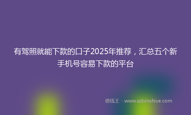 有驾照就能下款的口子2025年推荐，汇总五个新手机号容易下款的平台