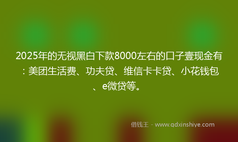 2025年的无视黑白下款8000左右的口子壹现金有：美团生活费、功夫贷、维信卡卡贷、小花钱包、e微贷等。