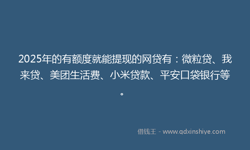 2025年的有额度就能提现的网贷有：微粒贷、我来贷、美团生活费、小米贷款、平安口袋银行等。
