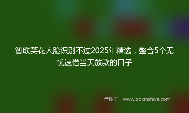 智联笑花人脸识别不过2025年精选，整合5个无忧速借当天放款的口子