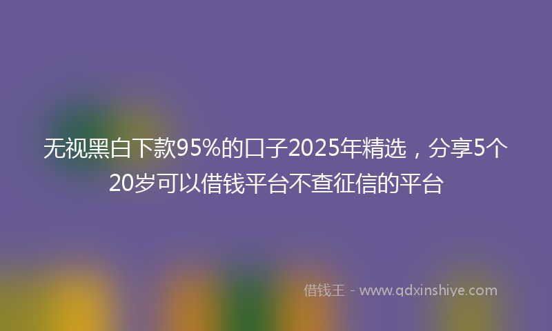 无视黑白下款95%的口子2025年精选，分享5个20岁可以借钱平台不查征信的平台