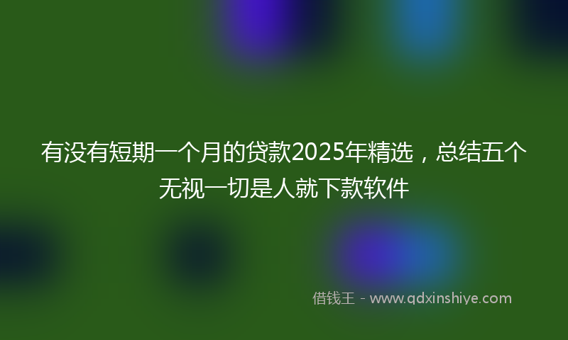 有没有短期一个月的贷款2025年精选，总结五个无视一切是人就下款软件