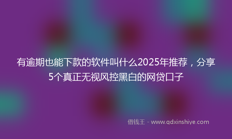 有逾期也能下款的软件叫什么2025年推荐，分享5个真正无视风控黑白的网贷口子