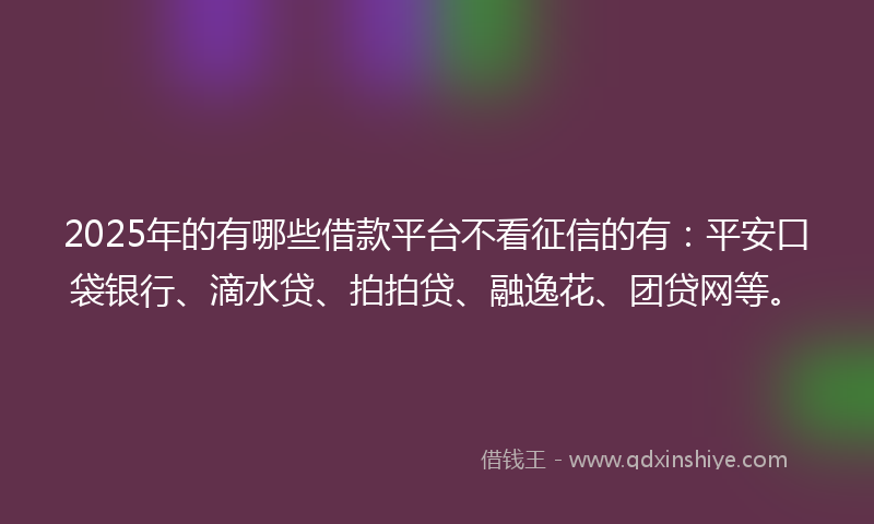 2025年的有哪些借款平台不看征信的有：平安口袋银行、滴水贷、拍拍贷、融逸花、团贷网等。