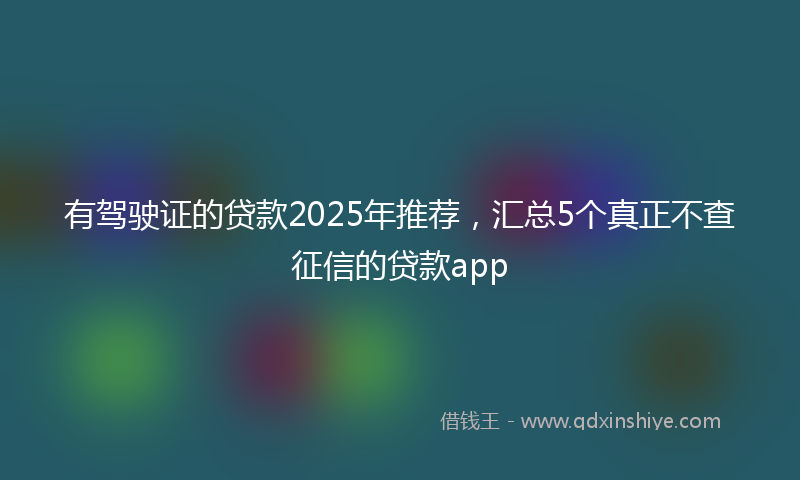 有驾驶证的贷款2025年推荐，汇总5个真正不查征信的贷款app