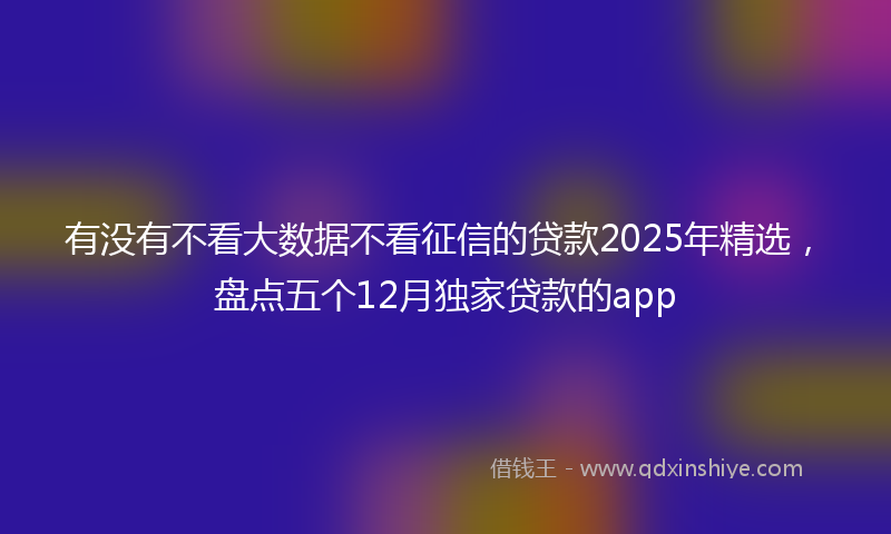 有没有不看大数据不看征信的贷款2025年精选，盘点五个12月独家贷款的app