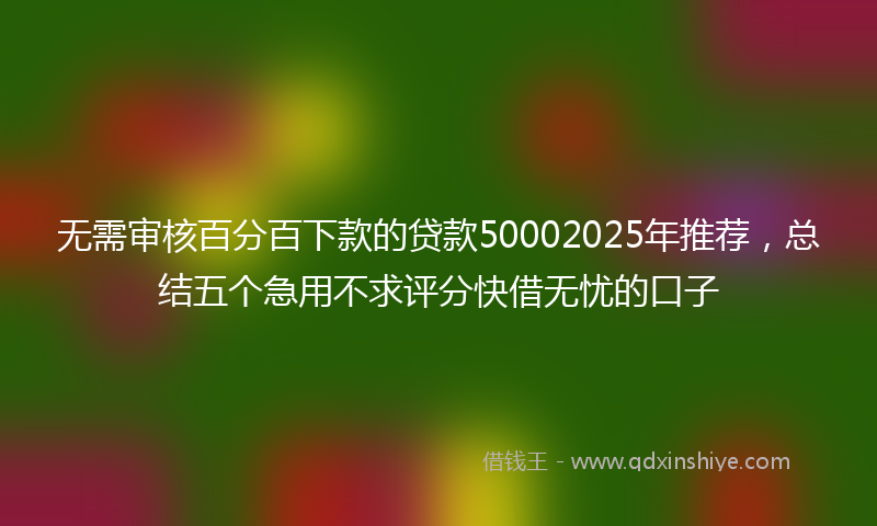 无需审核百分百下款的贷款50002025年推荐，总结五个急用不求评分快借无忧的口子