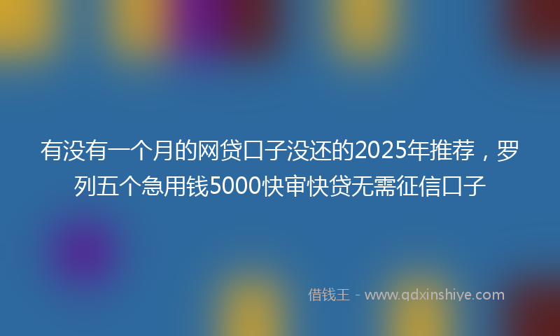 有没有一个月的网贷口子没还的2025年推荐，罗列五个急用钱5000快审快贷无需征信口子