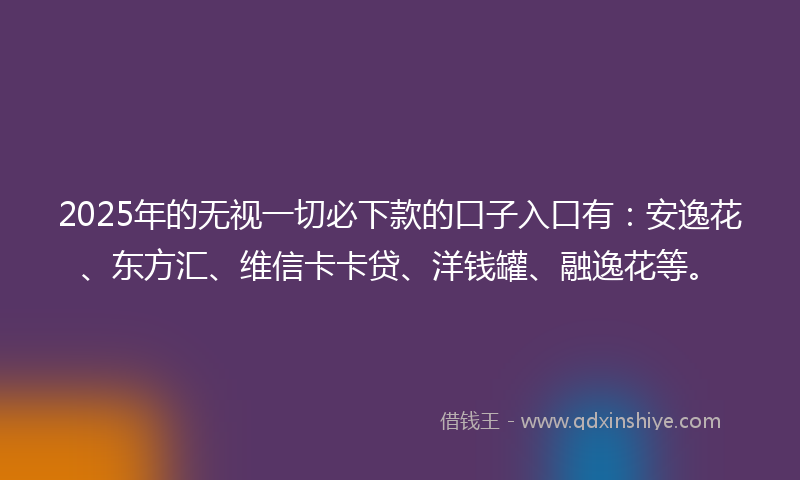 2025年的无视一切必下款的口子入口有：安逸花、东方汇、维信卡卡贷、洋钱罐、融逸花等。