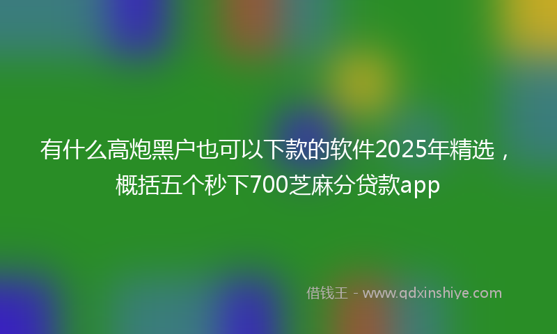 有什么高炮黑户也可以下款的软件2025年精选，概括五个秒下700芝麻分贷款app