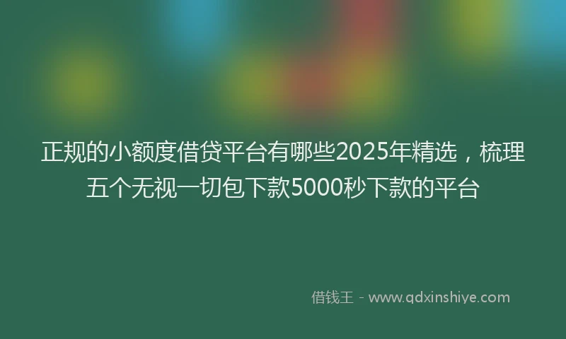正规的小额度借贷平台有哪些2025年精选，梳理五个无视一切包下款5000秒下款的平台