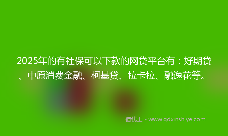 2025年的有社保可以下款的网贷平台有：好期贷、中原消费金融、柯基贷、拉卡拉、融逸花等。