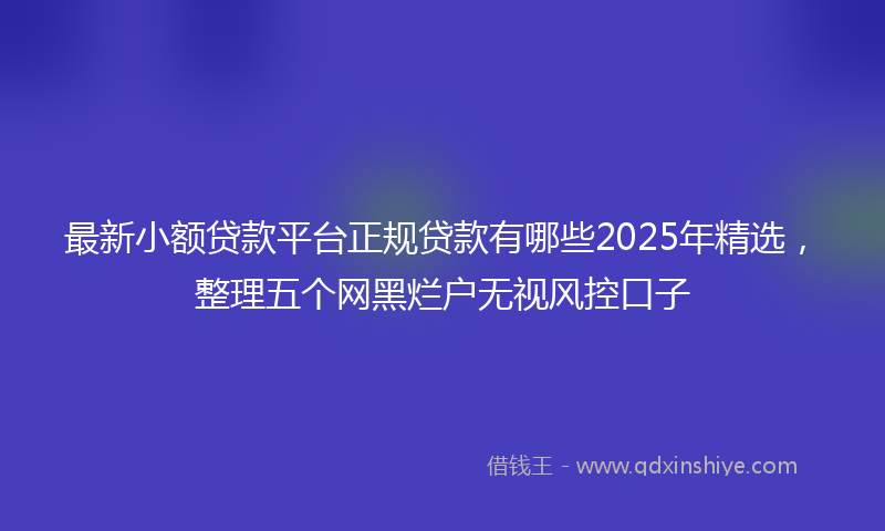 最新小额贷款平台正规贷款有哪些2025年精选，整理五个网黑烂户无视风控口子
