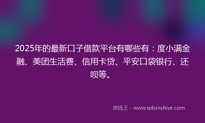 2025年的最新口子借款平台有哪些有：度小满金融、美团生活费、信用卡贷、平安口袋银行、还呗等。