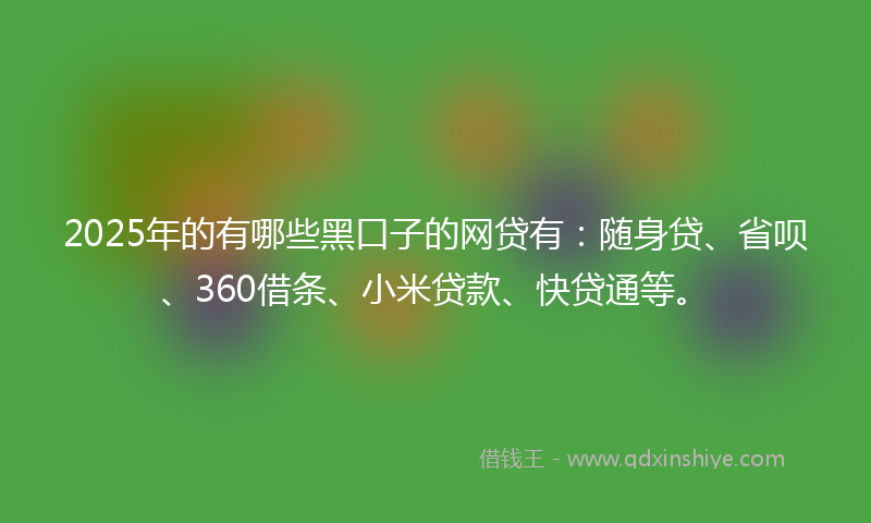2025年的有哪些黑口子的网贷有：随身贷、省呗、360借条、小米贷款、快贷通等。