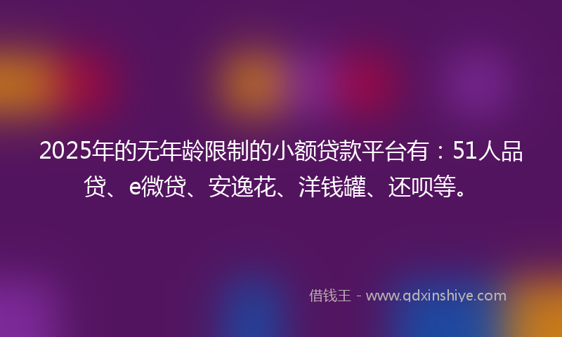 2025年的无年龄限制的小额贷款平台有：51人品贷、e微贷、安逸花、洋钱罐、还呗等。