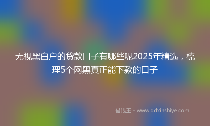 无视黑白户的贷款口子有哪些呢2025年精选，梳理5个网黑真正能下款的口子