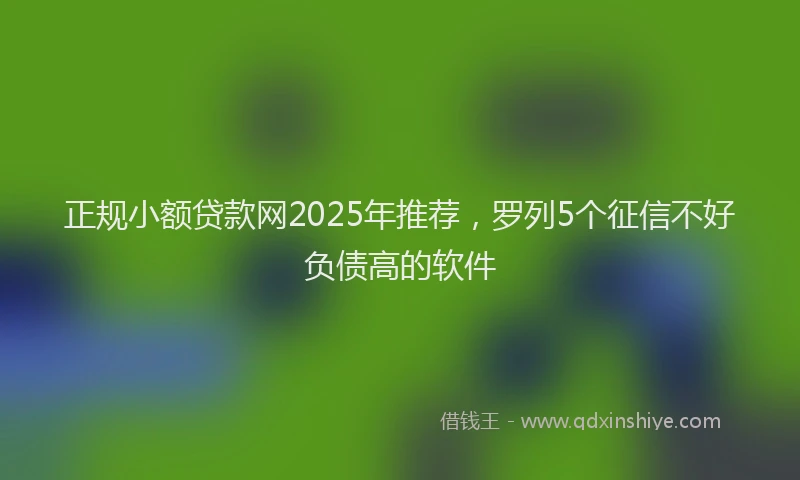 正规小额贷款网2025年推荐，罗列5个征信不好负债高的软件