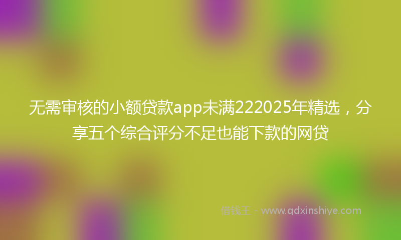 无需审核的小额贷款app未满222025年精选，分享五个综合评分不足也能下款的网贷