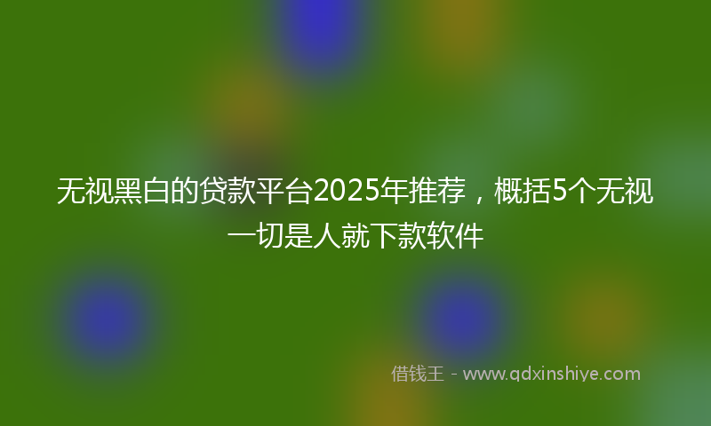 无视黑白的贷款平台2025年推荐，概括5个无视一切是人就下款软件