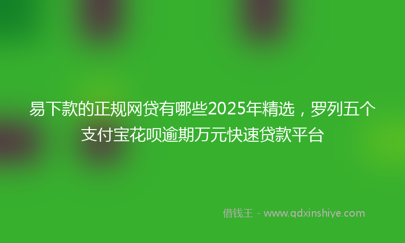 易下款的正规网贷有哪些2025年精选，罗列五个支付宝花呗逾期万元快速贷款平台
