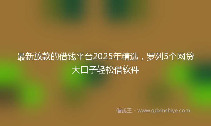 最新放款的借钱平台2025年精选，罗列5个网贷大口子轻松借软件