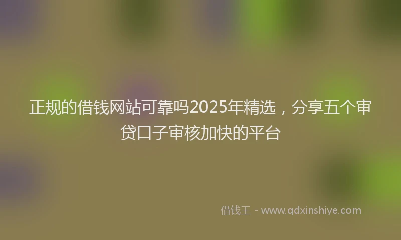 正规的借钱网站可靠吗2025年精选，分享五个审贷口子审核加快的平台