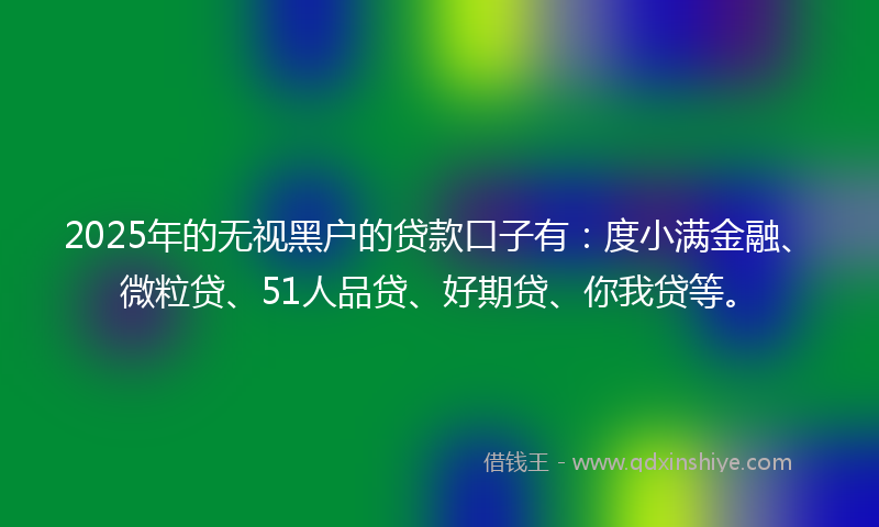 2025年的无视黑户的贷款口子有：度小满金融、微粒贷、51人品贷、好期贷、你我贷等。