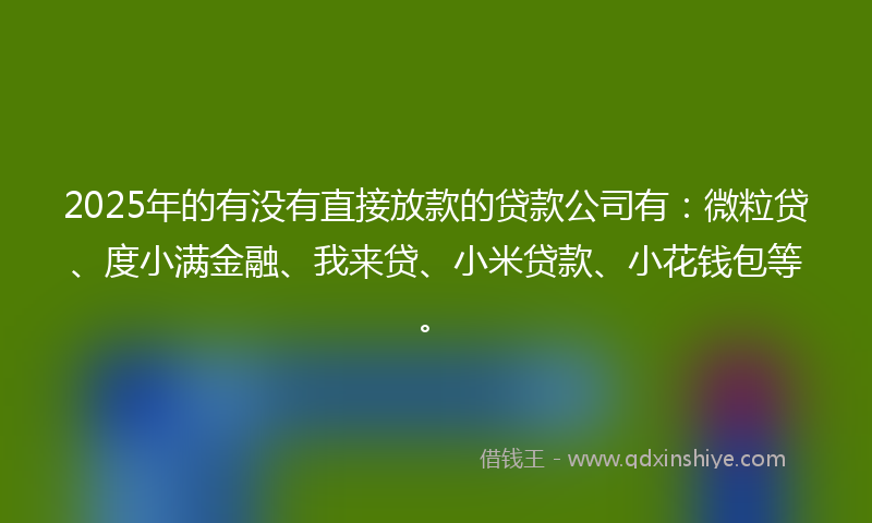 2025年的有没有直接放款的贷款公司有：微粒贷、度小满金融、我来贷、小米贷款、小花钱包等。