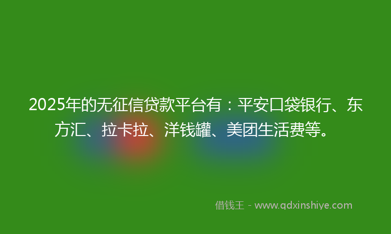 2025年的无征信贷款平台有：平安口袋银行、东方汇、拉卡拉、洋钱罐、美团生活费等。