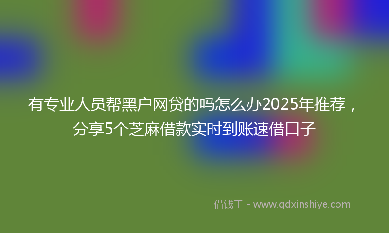 有专业人员帮黑户网贷的吗怎么办2025年推荐，分享5个芝麻借款实时到账速借口子